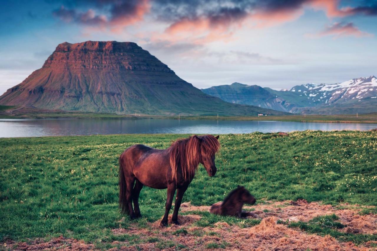 Experience Beautiful Iceland Olafsvik Ngoại thất bức ảnh