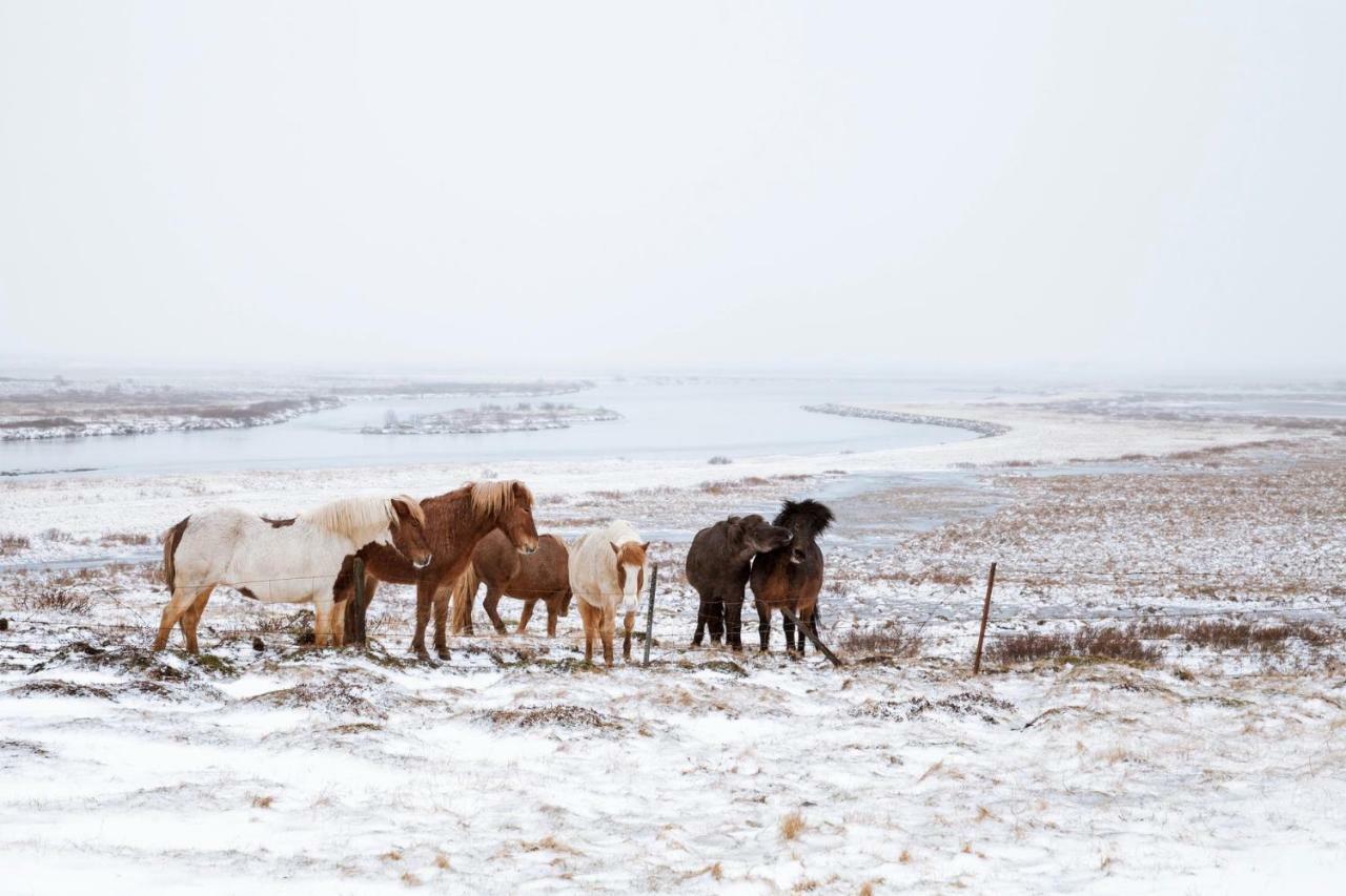 Experience Beautiful Iceland Olafsvik Ngoại thất bức ảnh