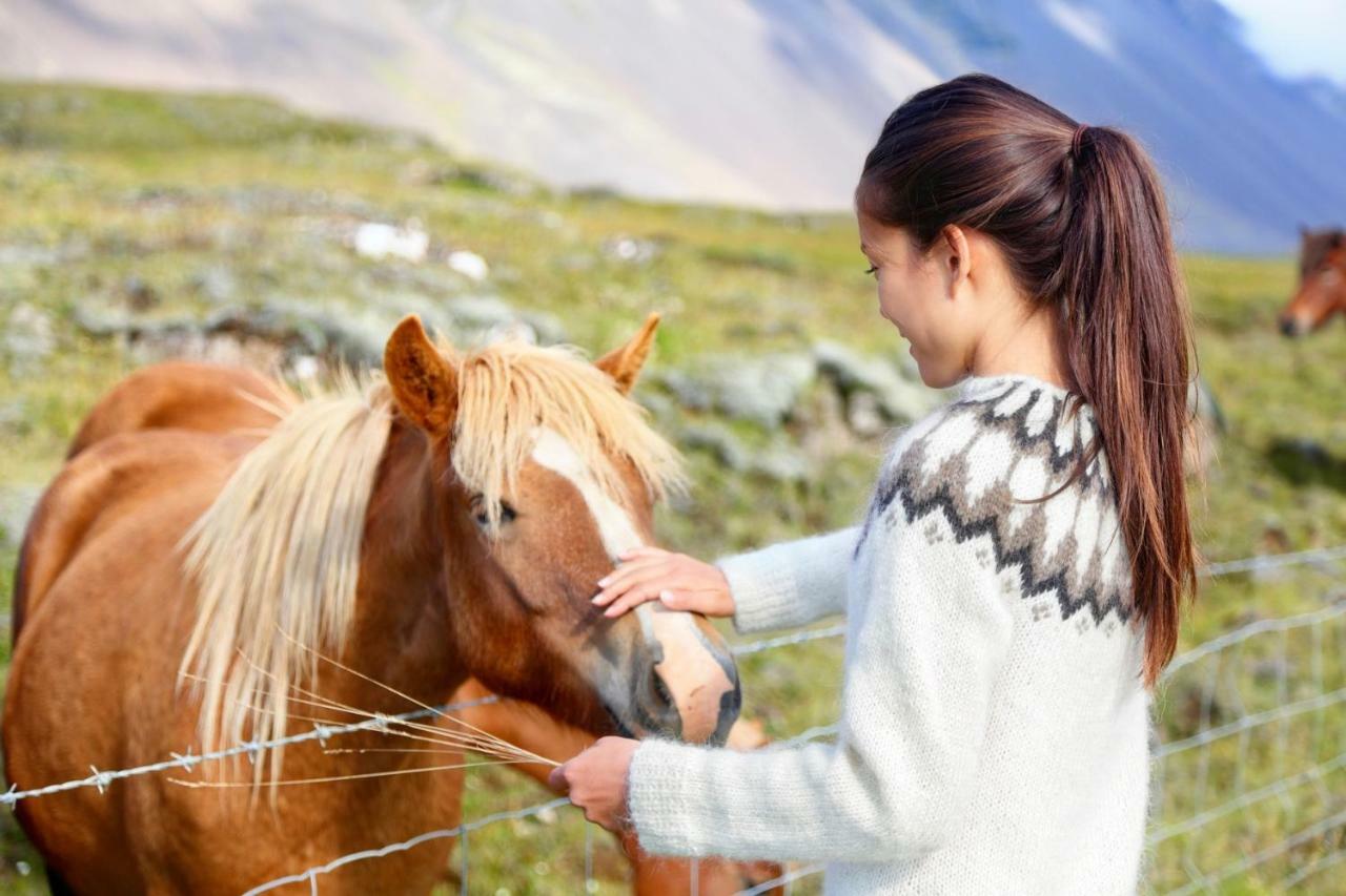 Experience Beautiful Iceland Olafsvik Ngoại thất bức ảnh