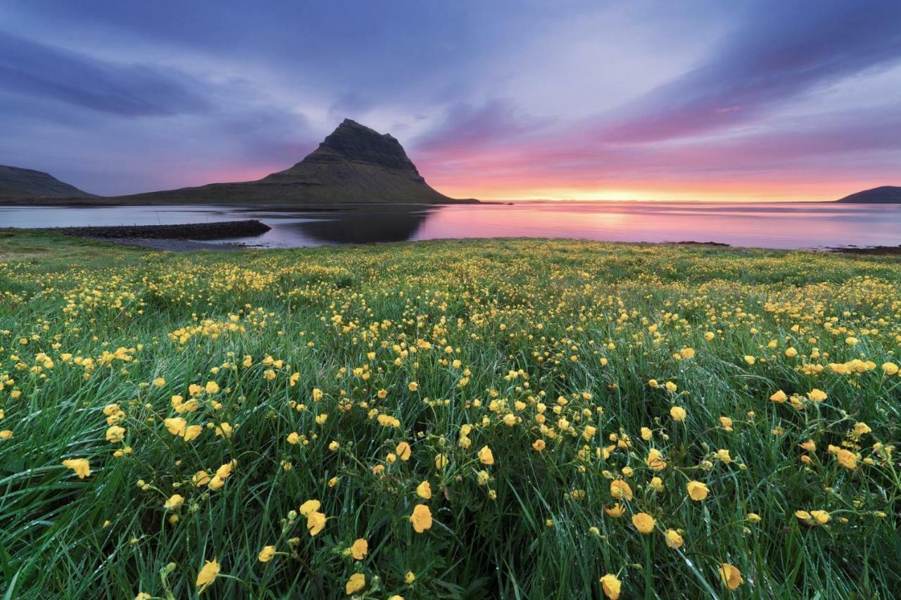 Experience Beautiful Iceland Olafsvik Ngoại thất bức ảnh